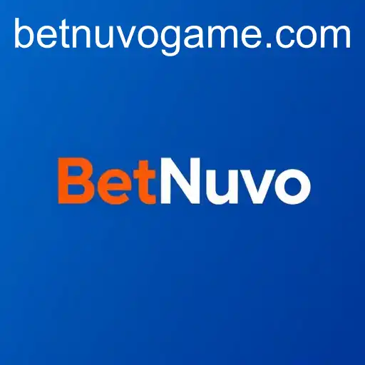 Understanding the User Agreement: Focusing on BetNuvo